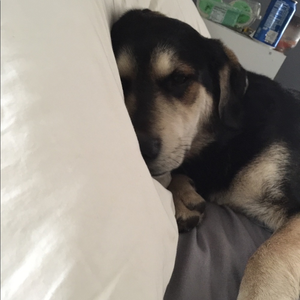 Meet your Posher, Telishia